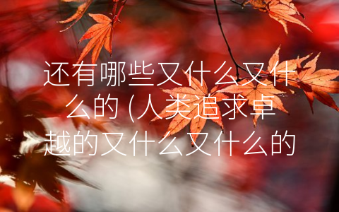 还有哪些又什么又什么的 (人类追求卓越的又什么又什么的生活方式)
