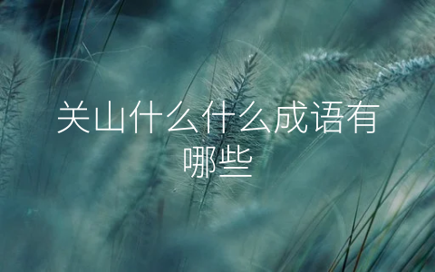 关山什么什么成语有哪些