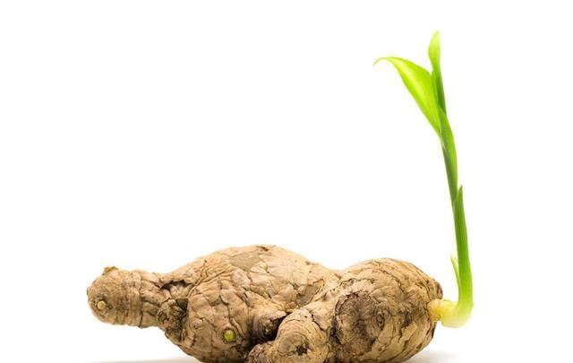 这些食物发芽了,到底还能不能吃?80%的人不知道图5