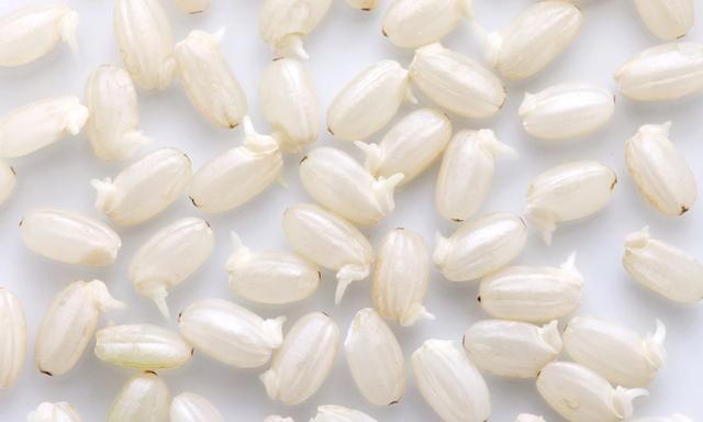 这些食物发芽了,到底还能不能吃?80%的人不知道图7