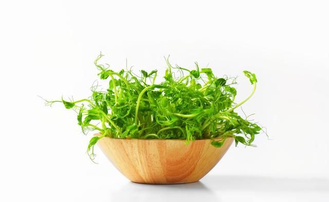 这些食物发芽了,到底还能不能吃?80%的人不知道图8