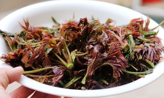 这些食物发芽了,到底还能不能吃?80%的人不知道图9