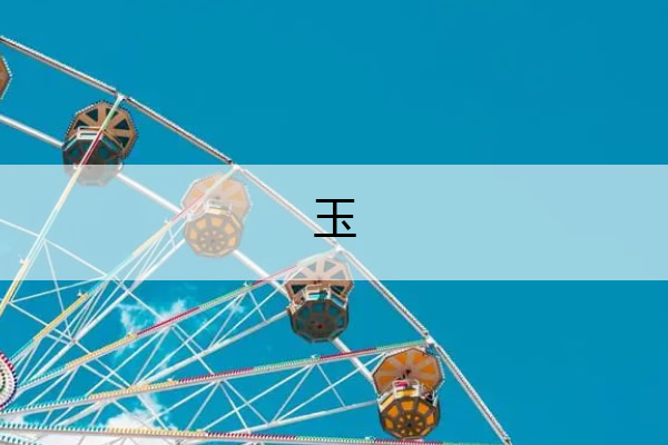 玉 玉竹的功效与作用