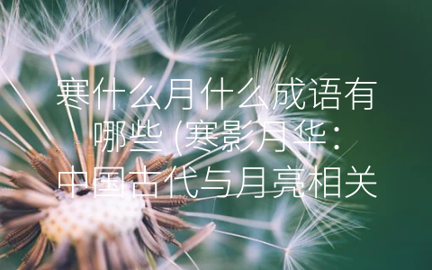 寒什么月什么成语有哪些 (寒影月华：中国古代与月亮相关的成语)