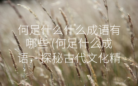 何足什么什么成语有哪些 (何足什么成语，探秘古代文化精髓)