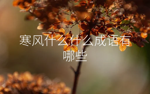寒风什么什么成语有哪些