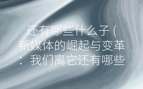 还有哪些什么子 (新媒体的崛起与变革：我们离它还有哪些-子”？)