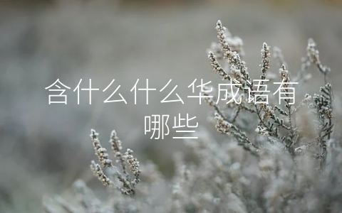 含什么什么华成语有哪些