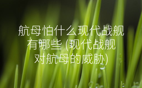 航母怕什么现代战舰有哪些 (现代战舰对航母的威胁)