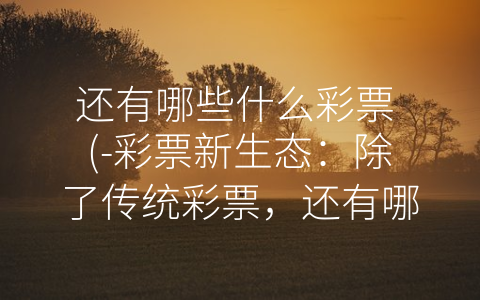 还有哪些什么彩票 (-彩票新生态：除了传统彩票，还有哪些更有趣的选择？”)