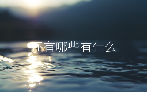 还有哪些有什么