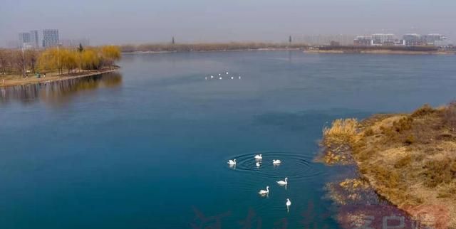 爱鸟护鸟观鸟 共享自然之美