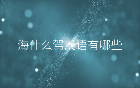 海什么驾成语有哪些