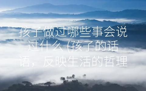 孩子做过哪些事会说过什么 (孩子的话语，反映生活的哲理与美好。)