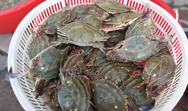 网上买梭子蟹为什么都是冷冻的,为什么梭子蟹都是速冻卖图2