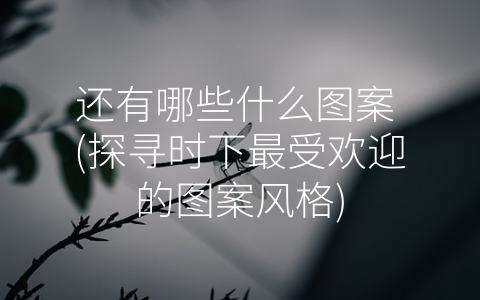 还有哪些什么图案 (探寻时下最受欢迎的图案风格)