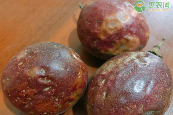 百香果的籽能不能吃