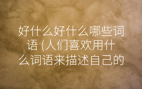 好什么好什么哪些词语 (人们喜欢用什么词语来描述自己的喜好和倾向？)