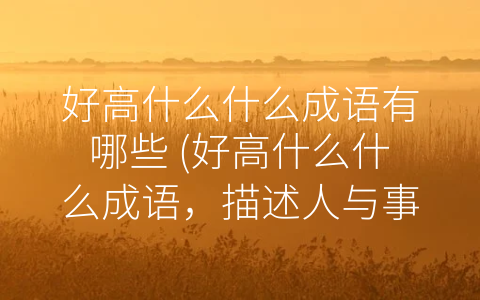 好高什么什么成语有哪些 (好高什么什么成语，描述人与事的追求和努力。)