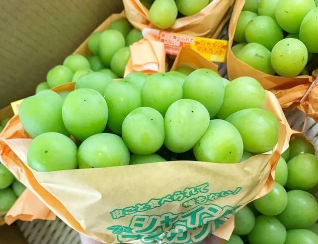 日本晴王葡萄和阳光玫瑰的区别 日本香印晴王葡萄比阳光玫瑰怎样