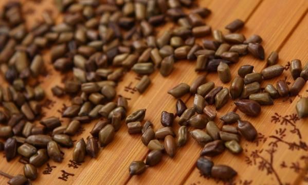 长期喝决明子泡水有什么好处 金银花和决明子能长期泡水喝吗