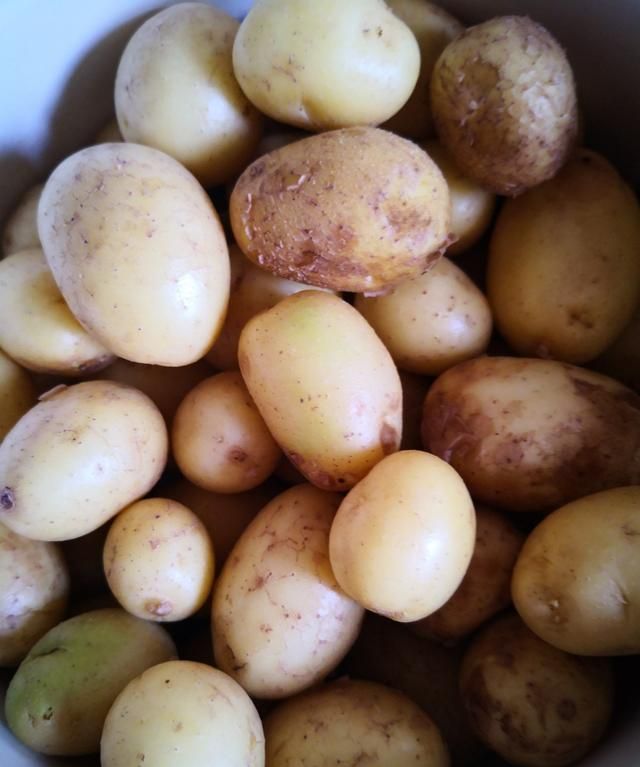 女人常吃这种碱性食物嘴巴不臭(女人六种碱性食物常吃)图2