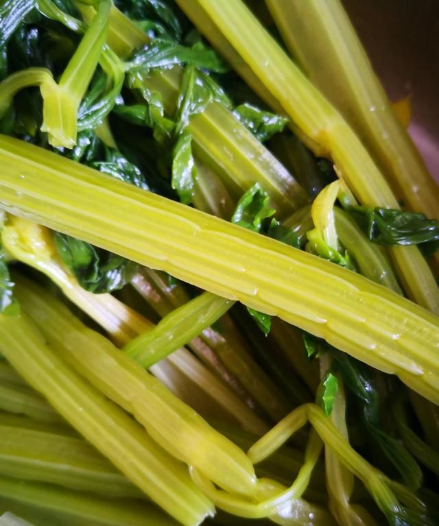 女人常吃这种碱性食物嘴巴不臭(女人六种碱性食物常吃)图5