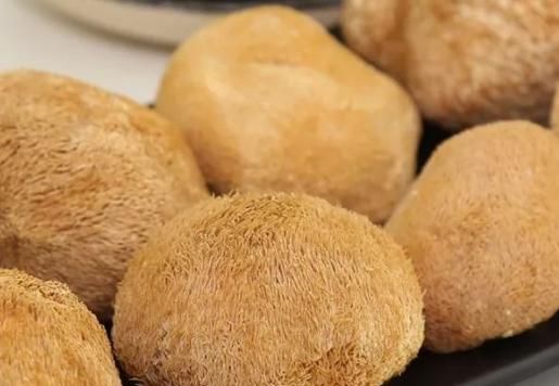 猴头菇有苦味的原因分析 猴头菇做熟了怎么去苦味