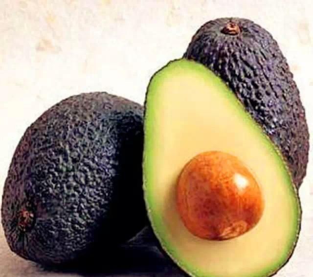 牛油果的种植方法水培图片 中国种植牛油果吗