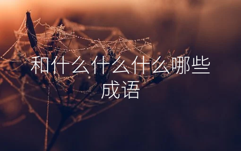 和什么什么什么哪些成语