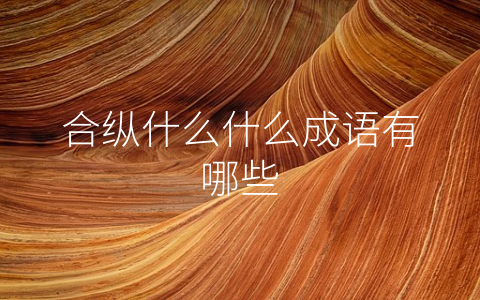 合纵什么什么成语有哪些