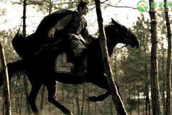 古代的快递员有“职业装”吗