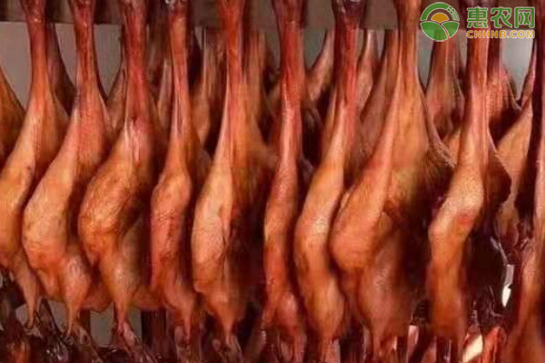 什么地方的鸭子出名好吃