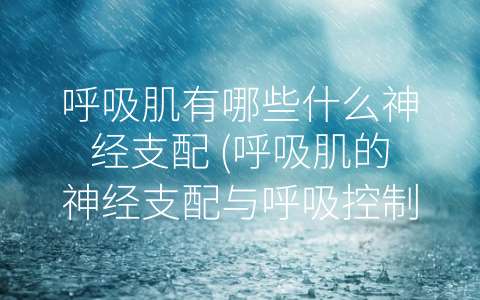 呼吸肌有哪些什么神经支配 (呼吸肌的神经支配与呼吸控制)