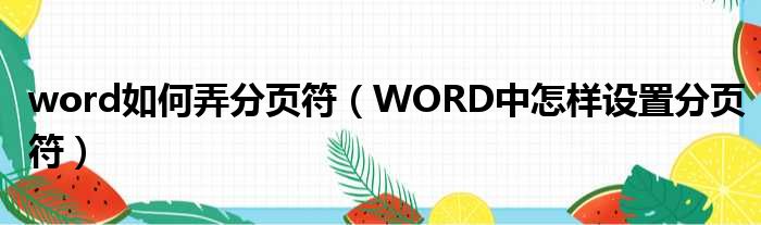 word如何弄分页符 WORD中怎样设置分页符