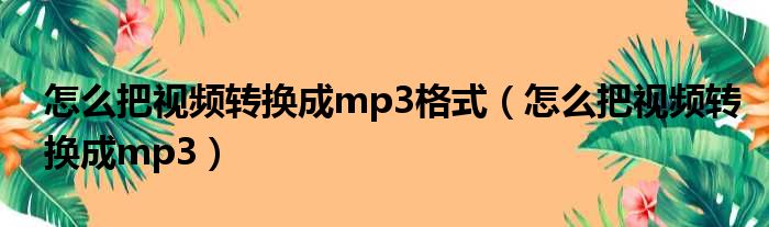 怎么把视频转换成mp3格式 怎么把视频转换成mp3
