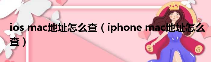 ios mac地址怎么查 iphone mac地址怎么查