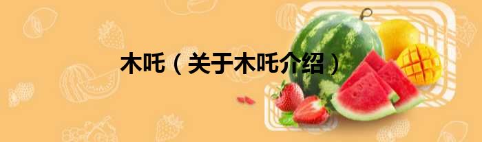 木吒 关于木吒介绍