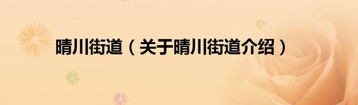 晴川街道 关于晴川街道介绍