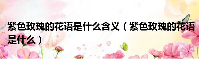 紫色玫瑰的花语是什么含义 紫色玫瑰的花语是什么