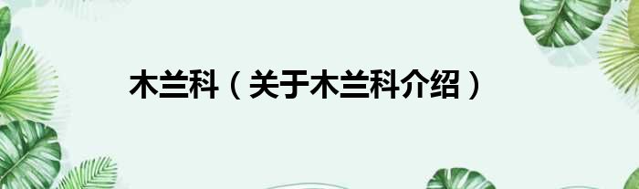 木兰科 关于木兰科介绍
