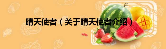 晴天使者 关于晴天使者介绍