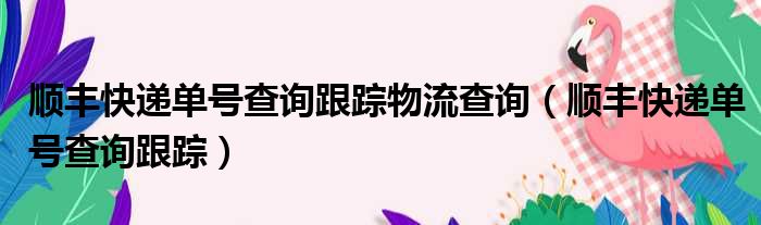 顺丰快递单号查询跟踪物流查询 顺丰快递单号查询跟踪