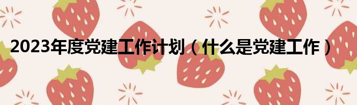 2023年度党建工作计划 什么是党建工作