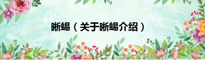 晰蜴 关于晰蜴介绍