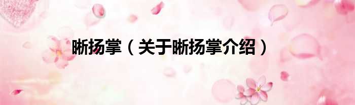 晰扬掌 关于晰扬掌介绍