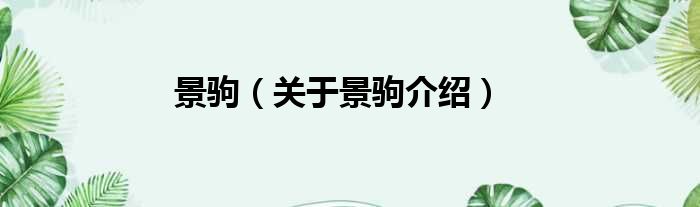 景驹 关于景驹介绍