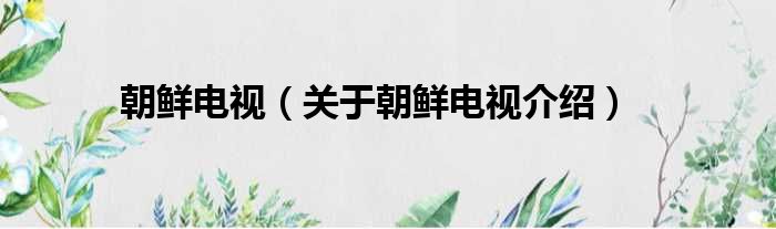 朝鲜电视 关于朝鲜电视介绍