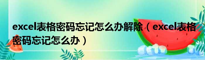 excel表格密码忘记怎么办解除 excel表格密码忘记怎么办
