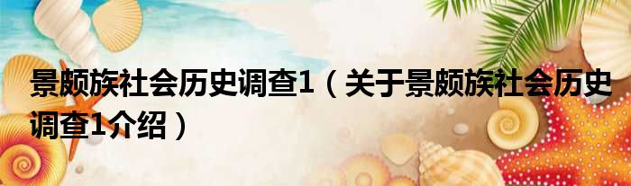 景颇族社会历史调查1 关于景颇族社会历史调查1介绍